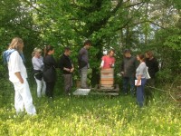 Unsere Bienen – Video